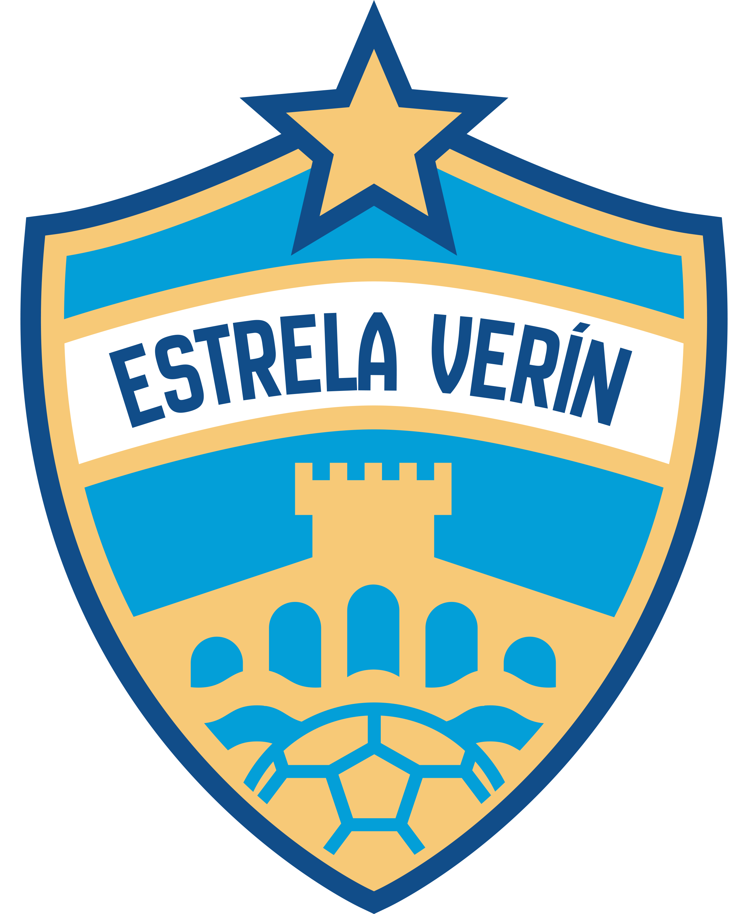 Estrela Revoltosa Verín FSF